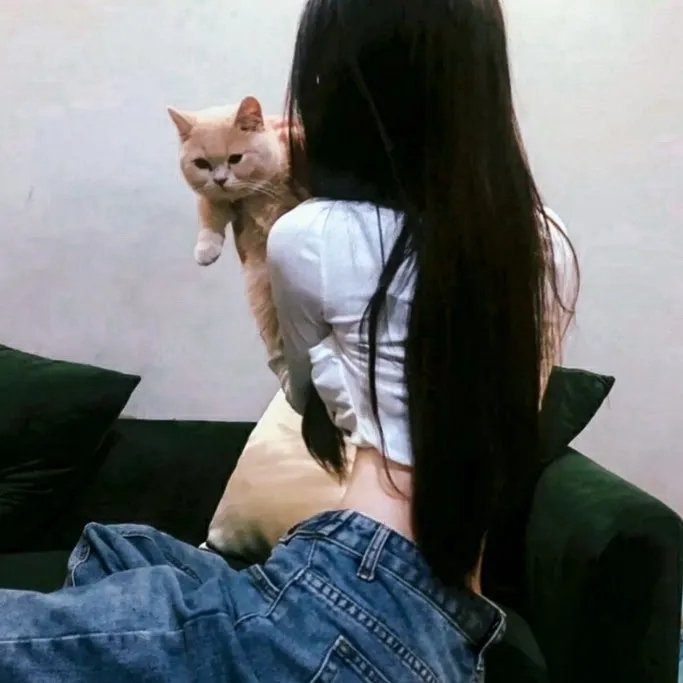 男孩与骏马