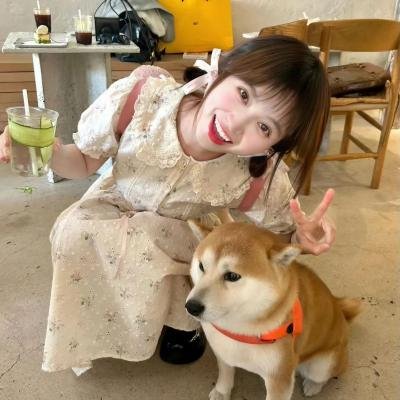 美人攻略